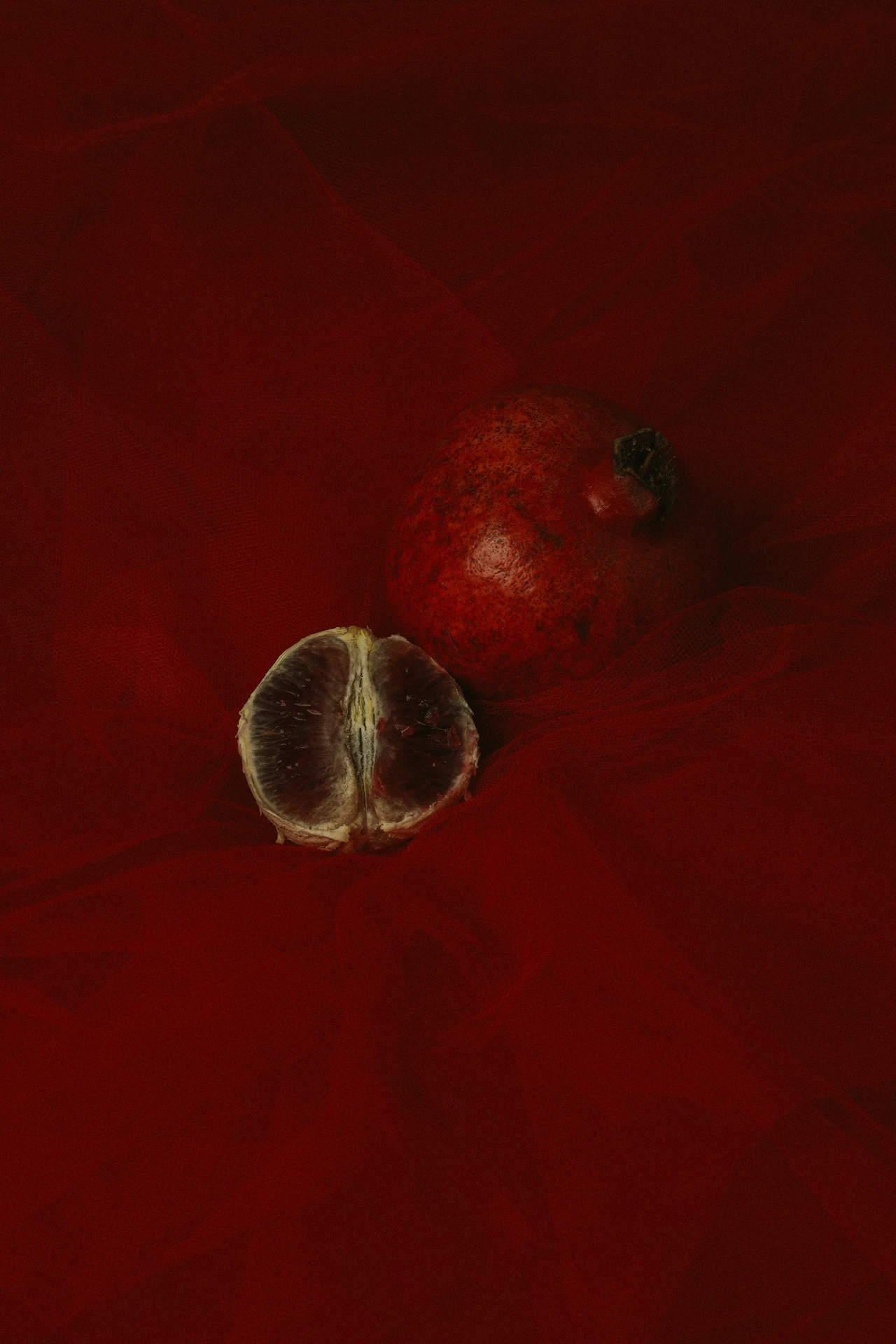 Red and Blue, frame 3