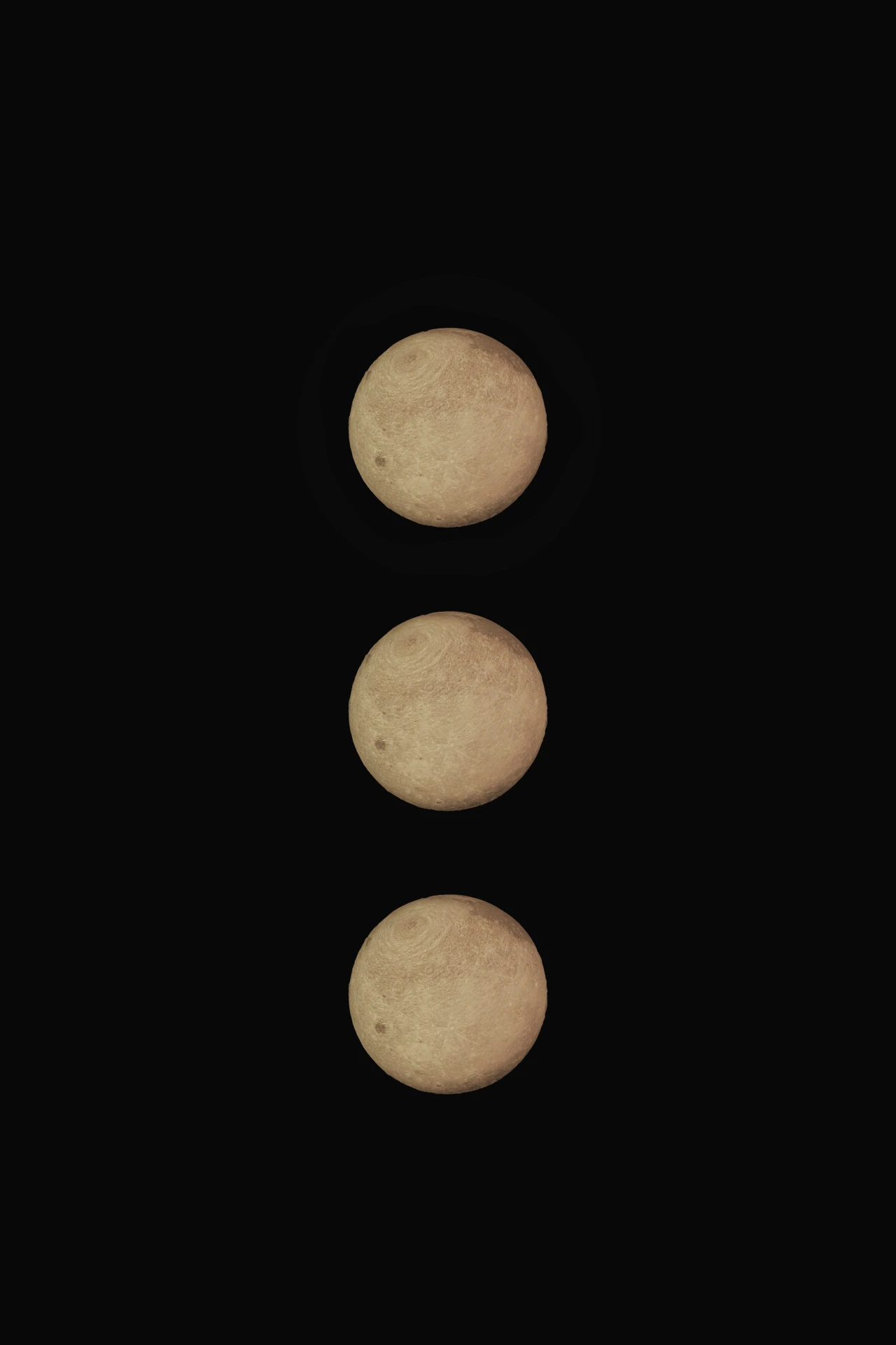 To the Moon and Back, still life by coup de cœur